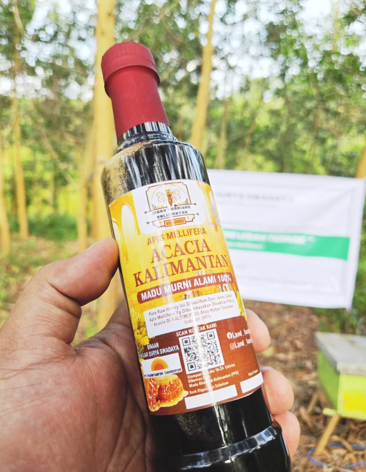 Produk Madu Kelompok Usaha Ternak Lebah Madu Acacia (HHBK PT. FSS)